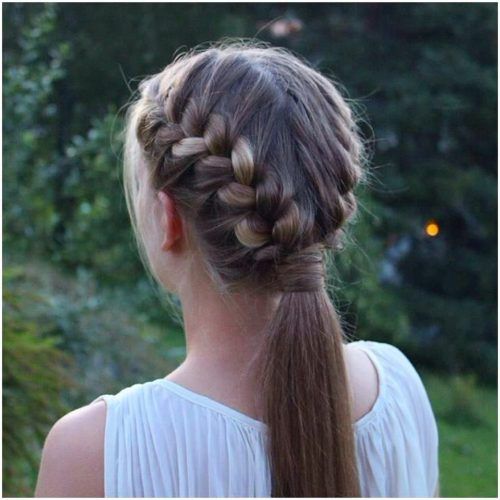 Two-Tone Braided Pony Hairstyles (Photo 13 of 15)