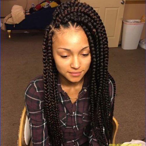 Twists And Braid Hairstyles (Photo 12 of 20)