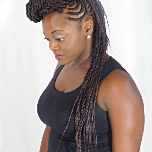 Braided Mohawk Hairstyles With Curls (Photo 7 of 20)