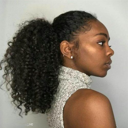 High Curly Black Ponytail Hairstyles (Photo 17 of 20)