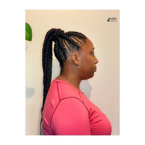 Chic Ponytail Hairstyles Ponytail Hairstyles (Photo 15 of 20)