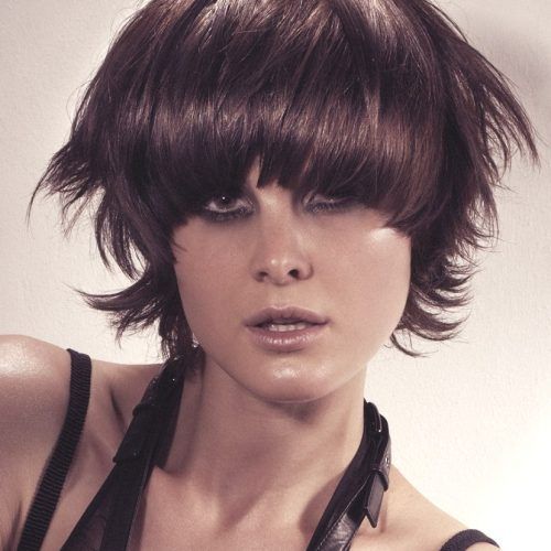 Short Feathered Hairstyles (Photo 6 of 20)
