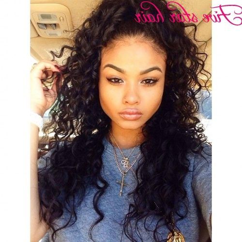 High Curly Black Ponytail Hairstyles (Photo 7 of 20)