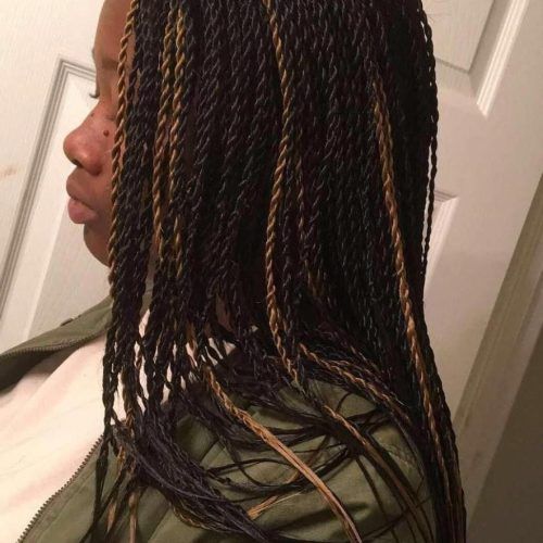 Black Twists Micro Braids With Golden Highlights (Photo 1 of 20)