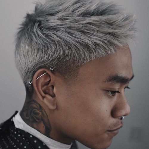 Cool Silver Asian Hairstyles (Photo 1 of 20)