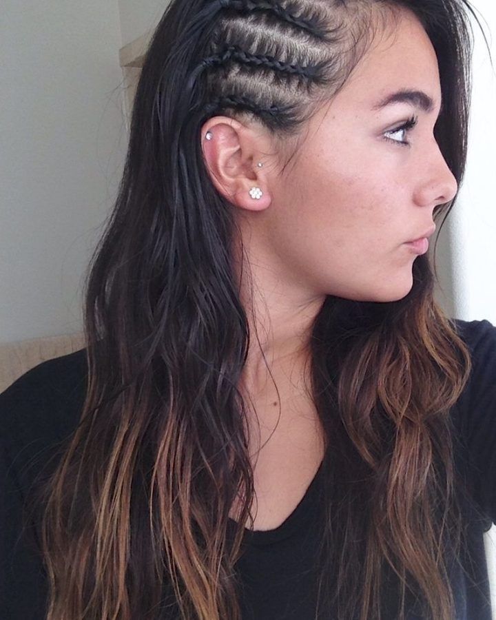 15 Inspirations Cornrows Hairstyles on Side