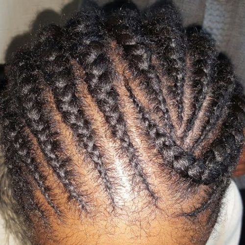 Criss-Crossed Braids With Feed-In Cornrows (Photo 13 of 15)