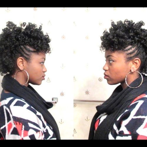 Curly Mohawk With Flat Twisted Sides (Photo 6 of 15)