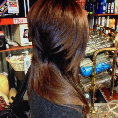 Disconnected Brown Shag Long Hairstyles With Highlights (Photo 9 of 20)