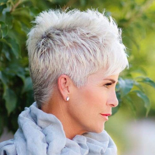 Gray Short Pixie Cuts (Photo 4 of 20)