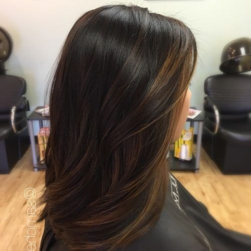 Long Thick Black Hairstyles With Light Brown Balayage (Photo 6 of 20)