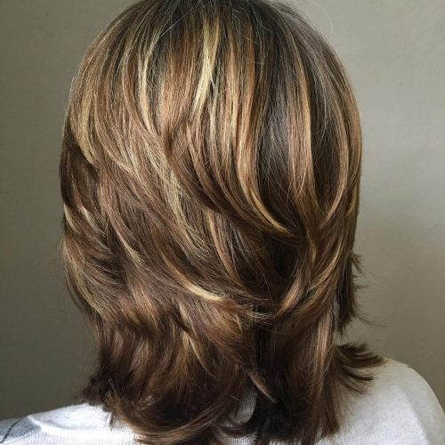 Mid-Back Brown U-Shaped Haircuts With Swoopy Layers (Photo 4 of 20)