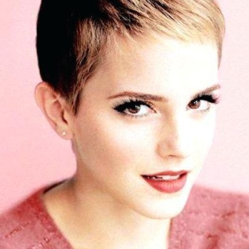 Pixie Haircuts Styles For Thin Hair (Photo 4 of 20)