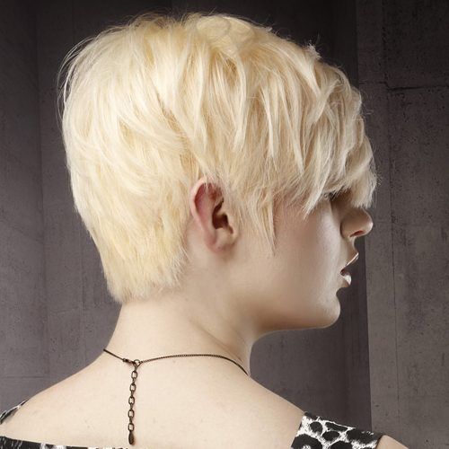 Platinum Blonde Pixie Hairstyles With Long Bangs (Photo 8 of 20)