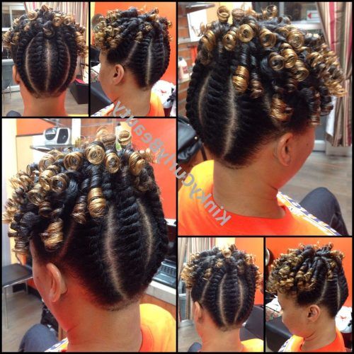 Reverse Flat Twists Hairstyles (Photo 9 of 15)