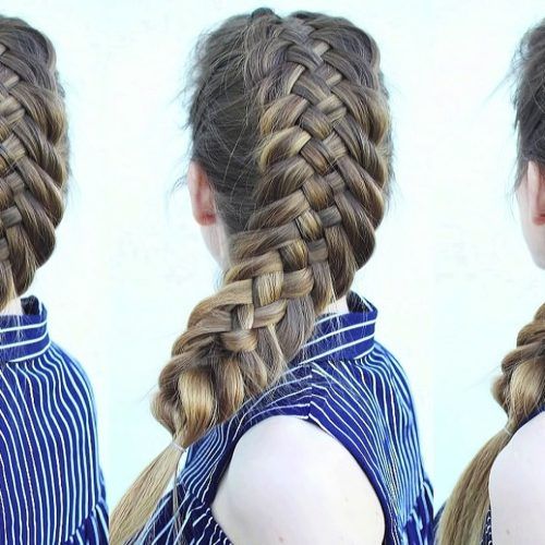 Rope And Fishtail Braid Hairstyles (Photo 5 of 20)
