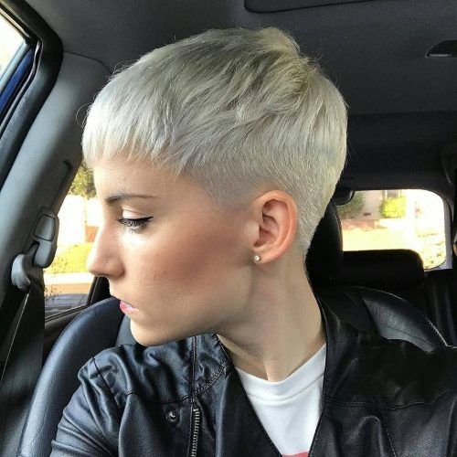Short Silver Crop Blonde Hairstyles (Photo 8 of 20)