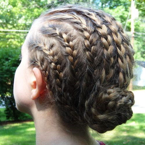 Tapered Tail Braid Hairstyles (Photo 15 of 20)