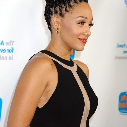 Tapered Tail Braided Hairstyles (Photo 17 of 20)
