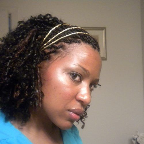 Twists Micro Braid Hairstyles With Curls (Photo 18 of 20)