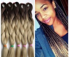 20 Inspirations Two Ombre Under Braid Hairstyles