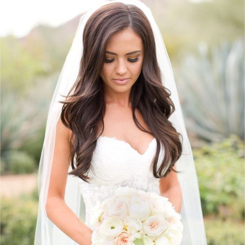 Wedding Hairstyles For Long Hair Down With Veil (Photo 2 of 15)