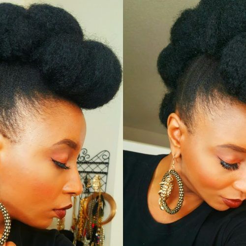 Twisted Faux Hawk Updo Hairstyles (Photo 10 of 20)