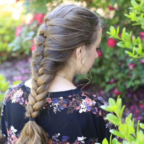Defined French Braid Hairstyles (Photo 9 of 20)