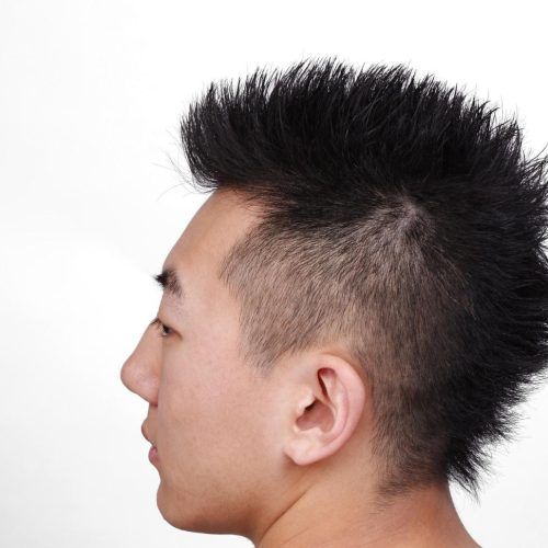 The Faux-Hawk Mohawk Hairstyles (Photo 1 of 20)