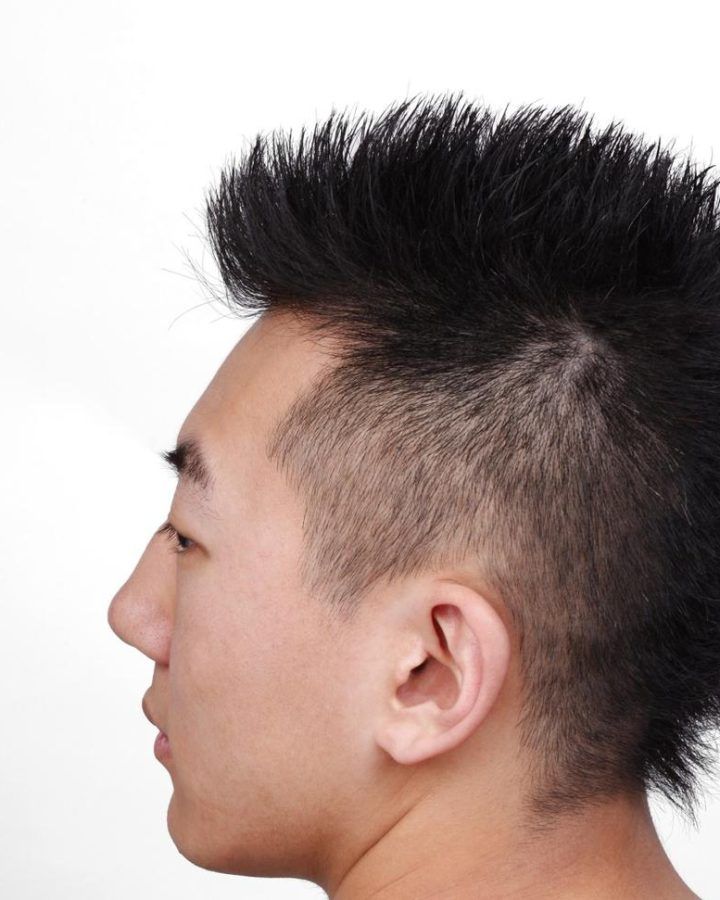 20 Inspirations The Faux-hawk Mohawk Hairstyles