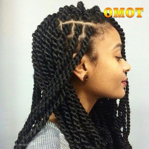 Black And Brown Senegalese Twist Hairstyles (Photo 16 of 20)