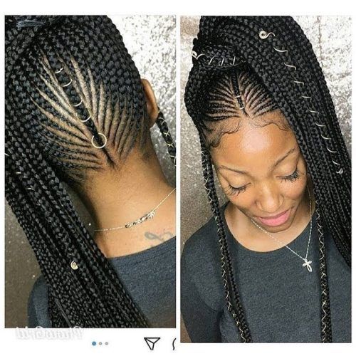 Carrot Cornrows Hairstyles (Photo 11 of 15)