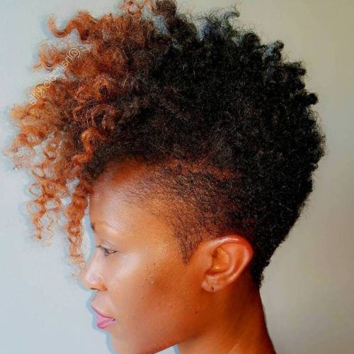 Color-Treated Mohawk Hairstyles (Photo 9 of 20)