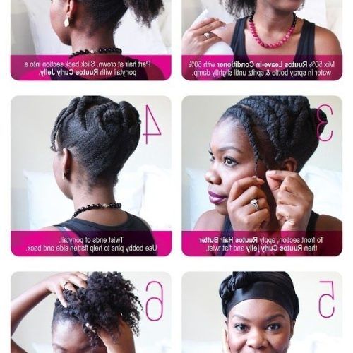 Curly Pony Hairstyles With A Braided Pompadour (Photo 5 of 20)