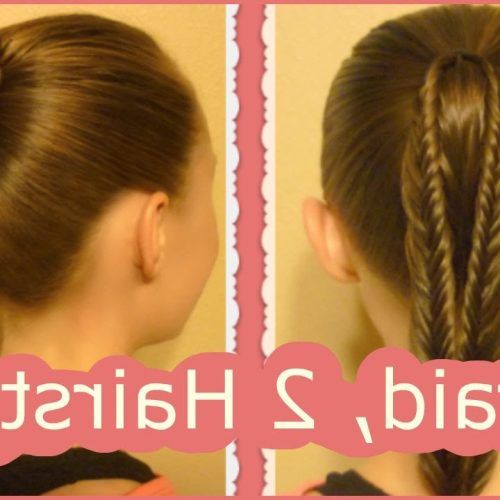 Fishtail Braid Pontyail Hairstyles (Photo 15 of 20)