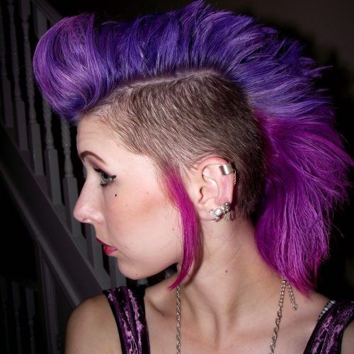 Pink And Purple Mohawk Hairstyles (Photo 2 of 20)