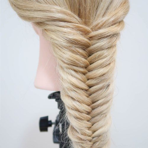 Rope And Fishtail Braid Hairstyles (Photo 7 of 20)