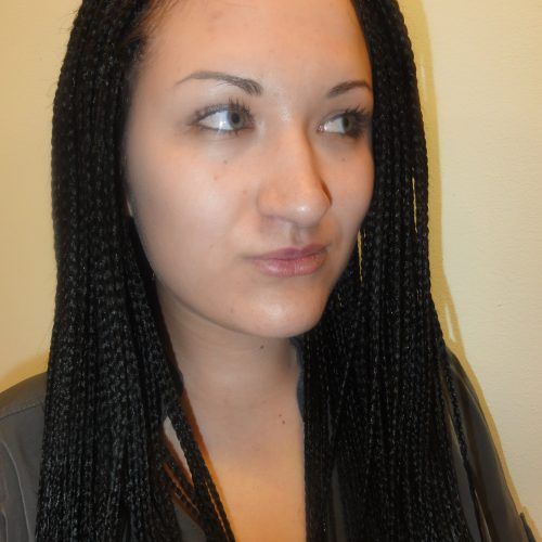 Singles Braided Hairstyles (Photo 10 of 15)