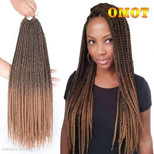 Straight Mini Braids With Ombre (Photo 7 of 20)