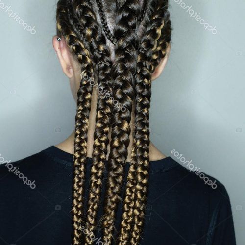 Thick Plaits And Narrow Cornrows Hairstyles (Photo 7 of 20)