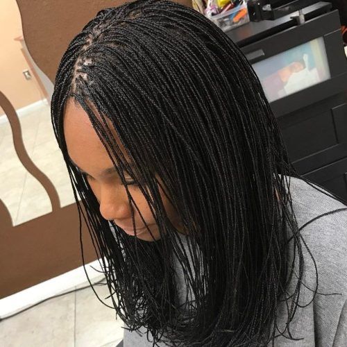 Twisted Lob Braided Hairstyles (Photo 12 of 20)