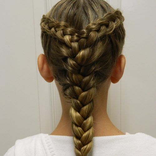 Two Braids In One Hairstyles (Photo 3 of 20)