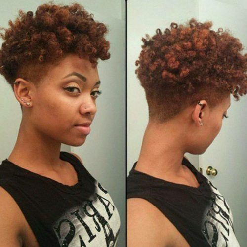 Two-Tone Undercuts For Natural Hair (Photo 6 of 20)