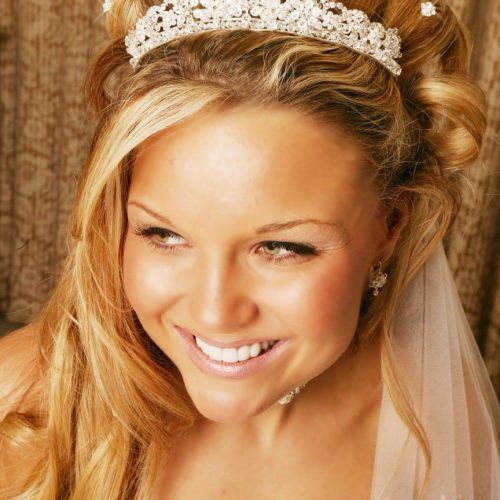 Veiled Bump Bridal Hairstyles With Waves (Photo 14 of 20)