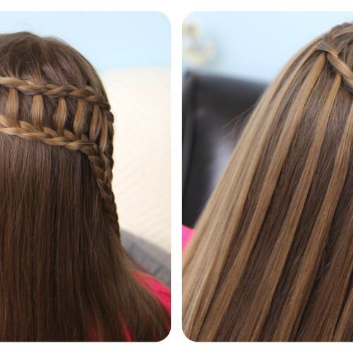 Pony And Dutch Braid Combo Hairstyles (Photo 19 of 20)