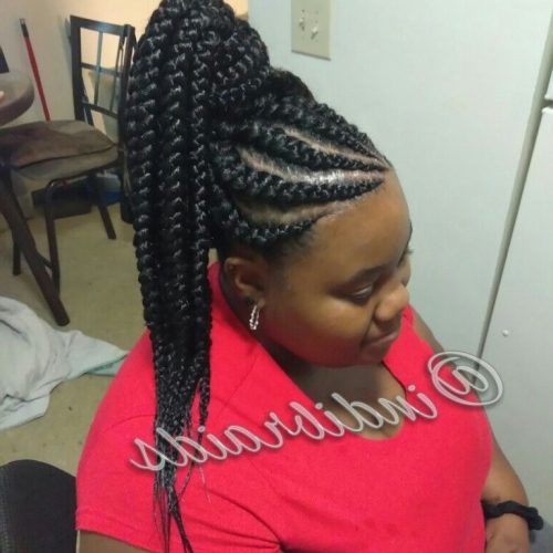 Thick And Thin Asymmetrical Feed-In Braids (Photo 6 of 15)