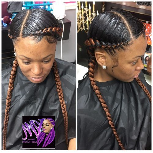 Micro Braids Hairstyles In Side Fishtail Braid (Photo 8 of 20)
