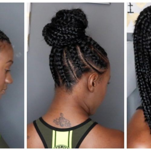 Cornrow Hairstyles Up In One (Photo 15 of 15)