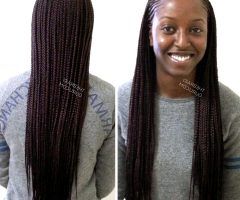 15 Best Ideas Two Extra Long Braids