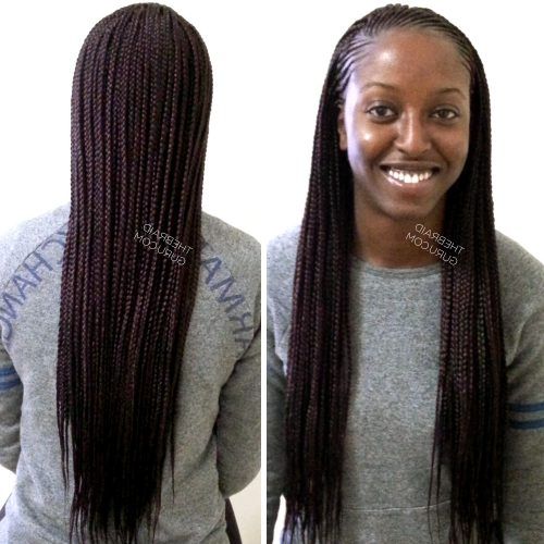 Two Extra Long Braids (Photo 1 of 15)